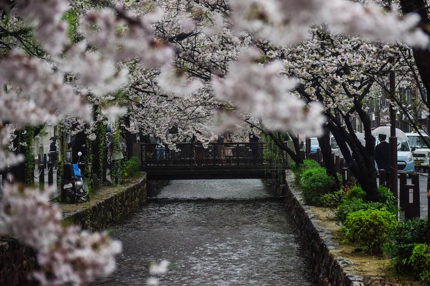 Japan’s Rainy Season